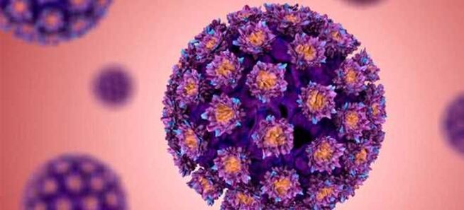 HPV - Papillomavirus Humain